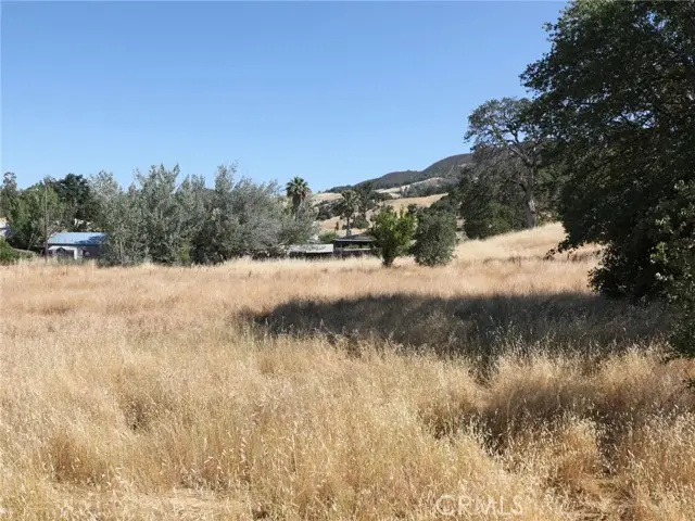 7295 Wilson Street, Nice, CA 95464 - #3