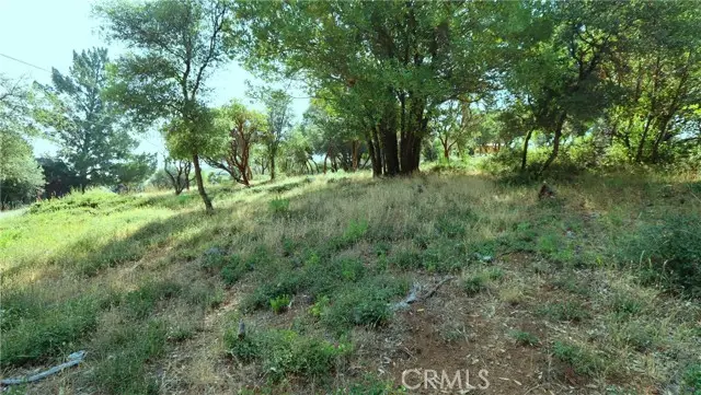 9523 Tenaya Way, Kelseyville, CA 95451 - #1