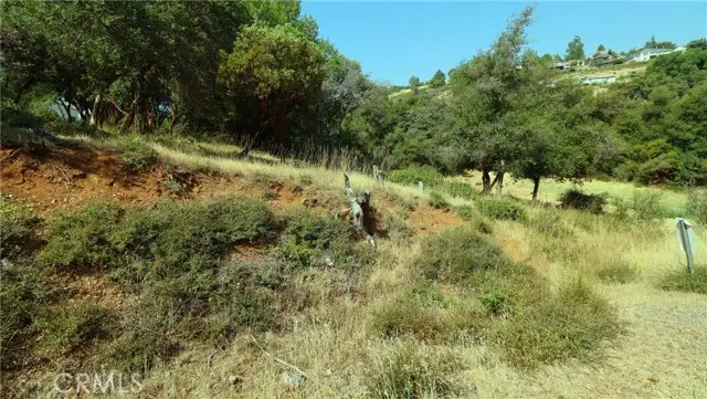 9523 Tenaya Way, Kelseyville, CA 95451 - #3