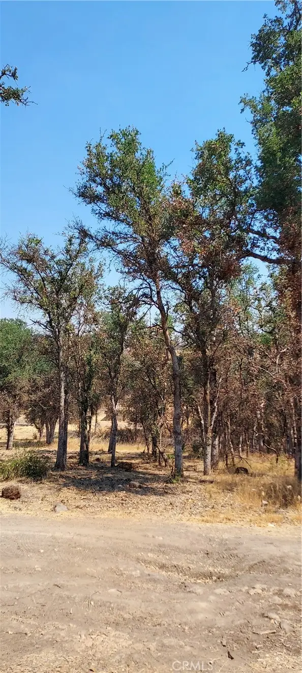 16034 13th Avenue, Clearlake, CA 95422 - #1