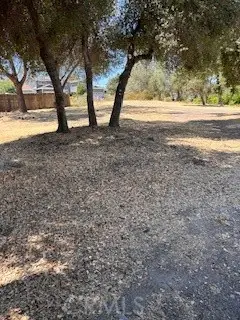 #3