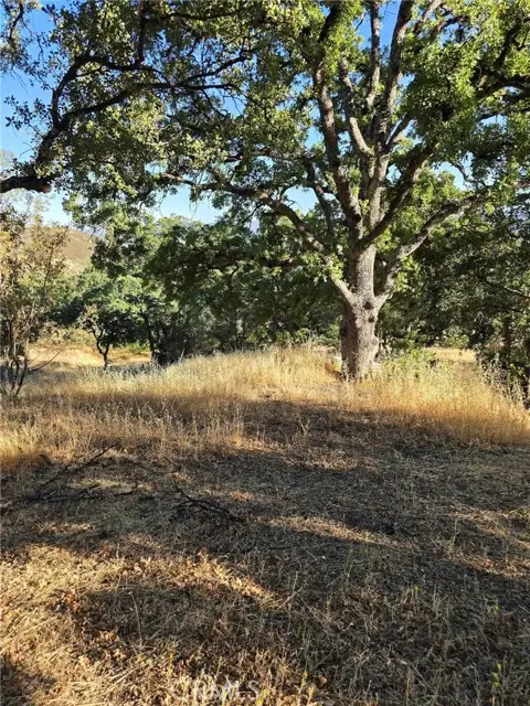 728 Watertrough Road, Clearlake Oaks, CA 95423 - #3