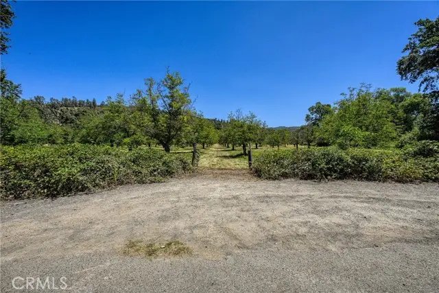 1286 Pitney Lane, Upper Lake, CA 95485 - #1