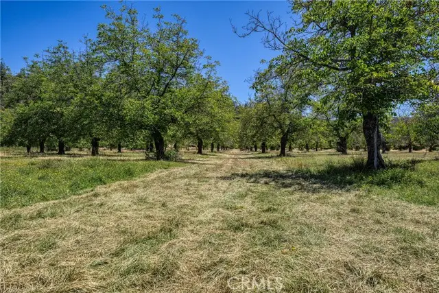 1286 Pitney Lane, Upper Lake, CA 95485 - #3