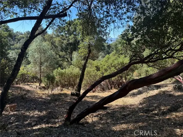 3293 Clay Street, Nice, CA 95464 - #3