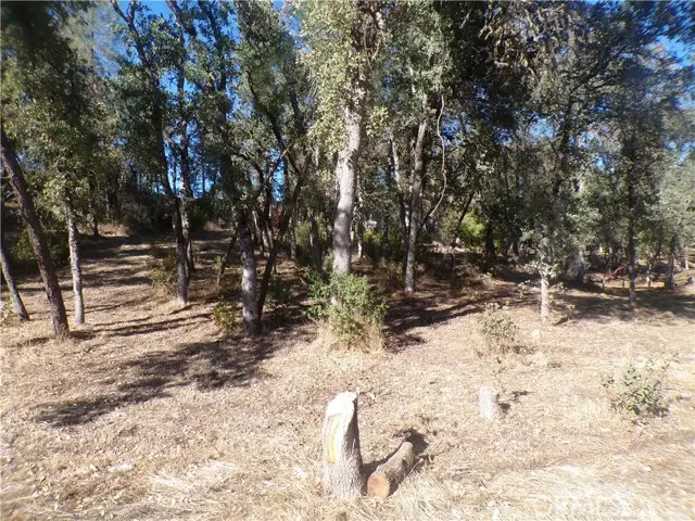 15608 36th Avenue, Clearlake, CA 95422 - #1