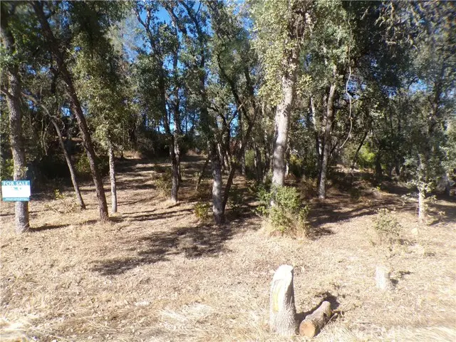 15608 36th Avenue, Clearlake, CA 95422 - #2