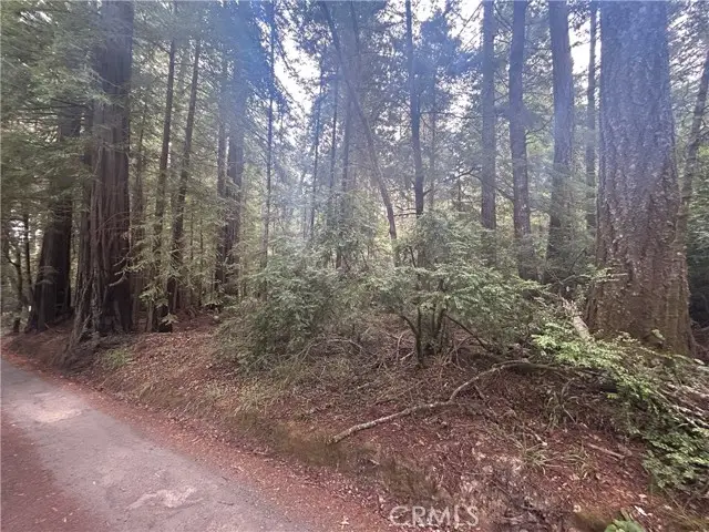 0 Law Road, Mendocino, CA 95460 - #2