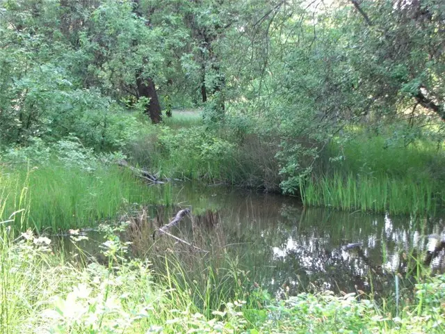 10545 Bachelor Valley Road, Witter Springs, CA 95493 - #2