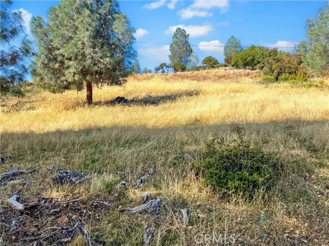 10203 El Capitan, Kelseyville, CA 95451 - #1