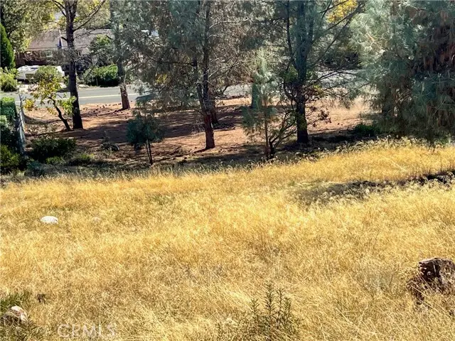 10203 El Capitan, Kelseyville, CA 95451 - #2