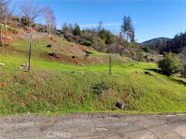 11180 Rose Anderson, Middletown, CA 95461 - #2