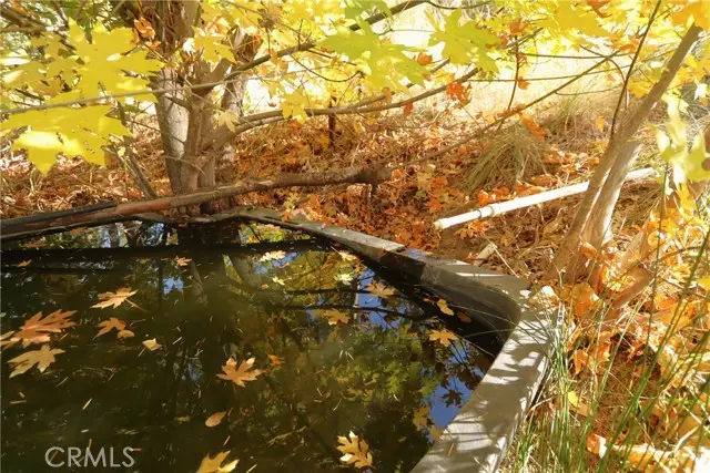 15667 17 N 11 Road, Upper Lake, CA 95485 - #3