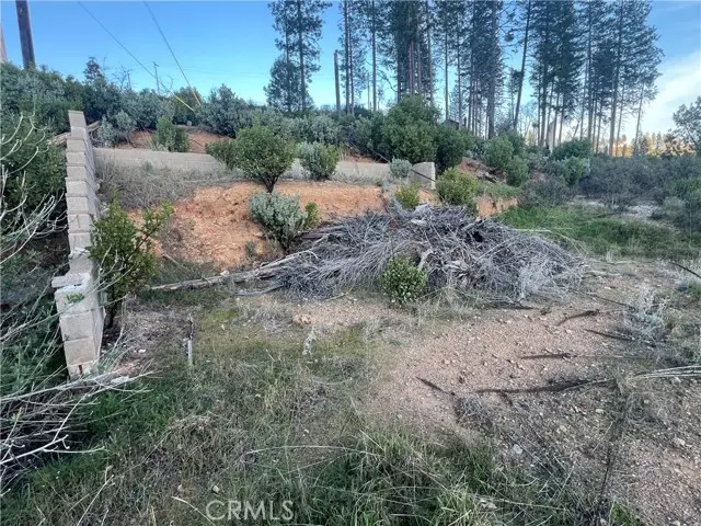 16789 Starview Loop, Cobb, CA 95426 - #3