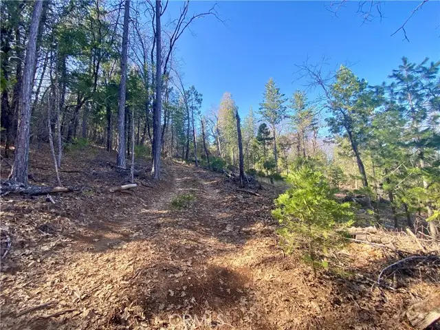 10130 Seigler Springs North, Kelseyville, CA 95451 - #2