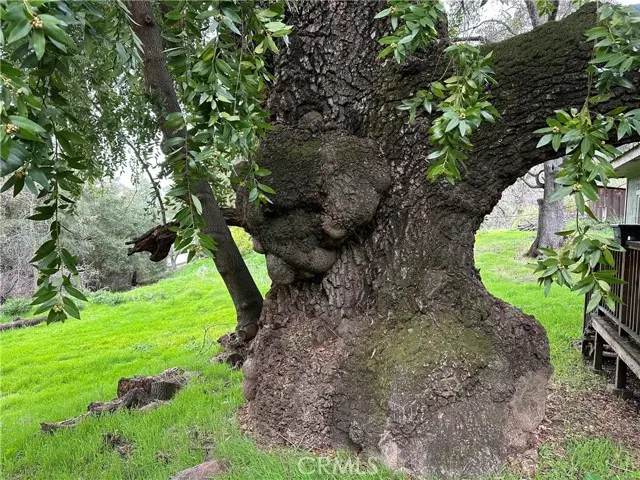 7004 E. Hwy 20, Lucerne, CA 95458 - #2