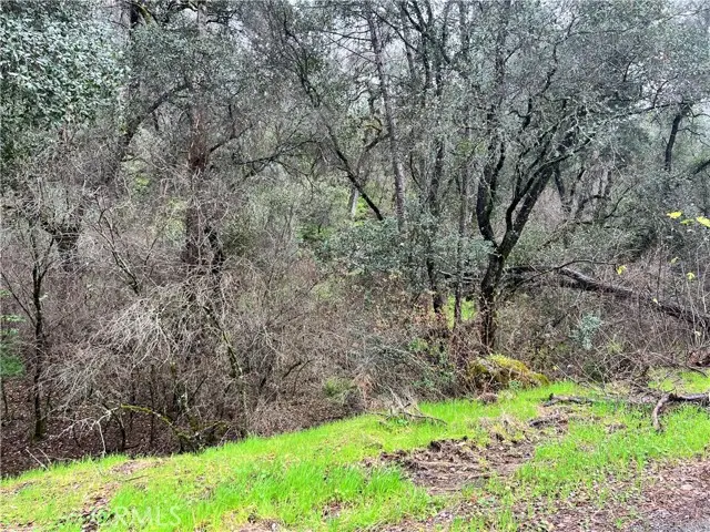 12215 Mountain View Drive, Clearlake Oaks, CA 95423 - #2