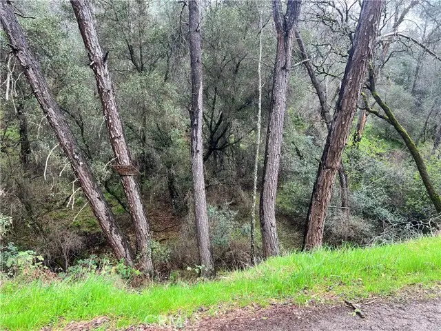 12215 Mountain View Drive, Clearlake Oaks, CA 95423 - #3