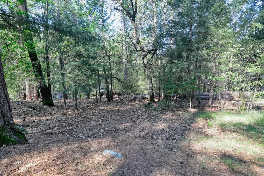 16303 Niblick, Cobb, CA 95426 - #1