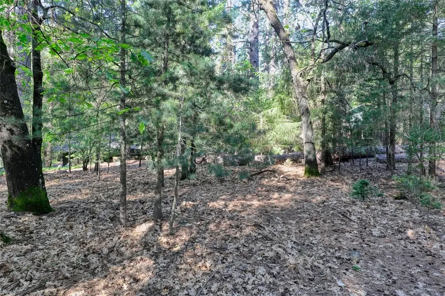 16303 Niblick, Cobb, CA 95426 - #2