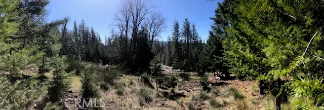 8713 Fox, Cobb, CA 95426 - #1