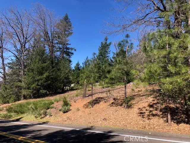 8713 Fox, Cobb, CA 95426 - #3