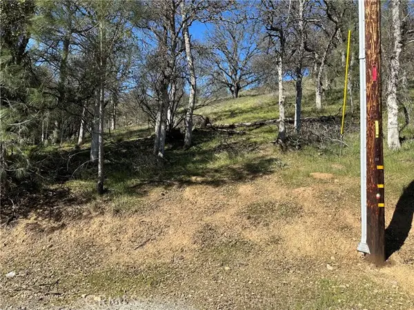 17509 Cache Creek, Clearlake Oaks, CA 95423