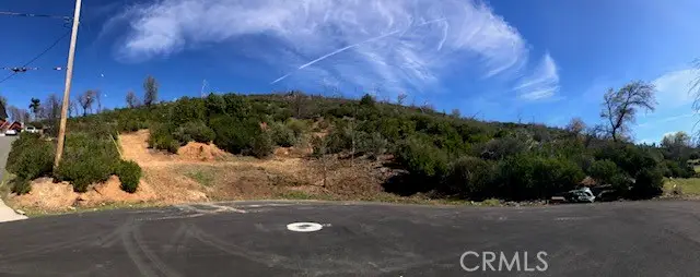 9738 Hoberg Drive, Cobb, CA 95426 - #1