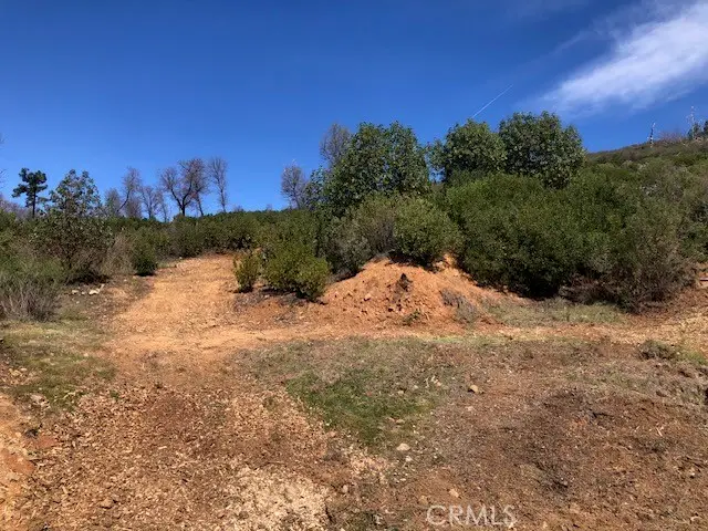 9738 Hoberg Drive, Cobb, CA 95426 - #3