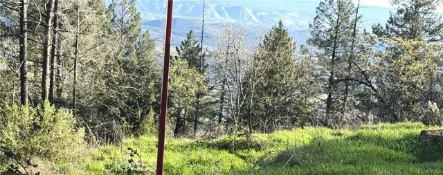 9465 Diamond Dust, Kelseyville, CA 95451 - #2