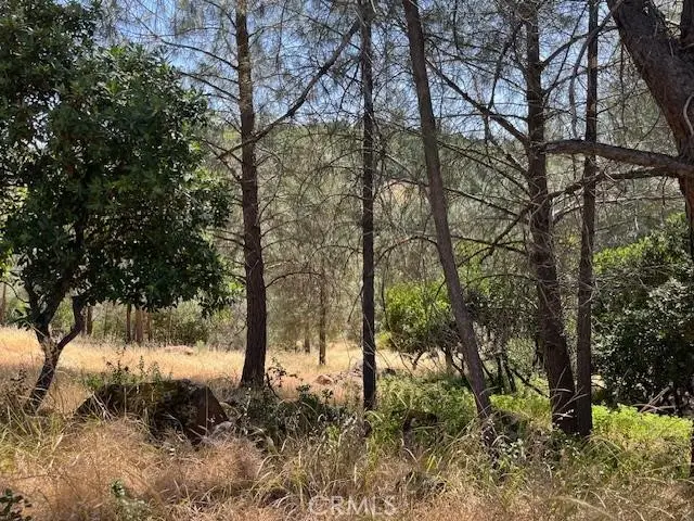 10353 Walnut Way, Kelseyville, CA 95451 - #2