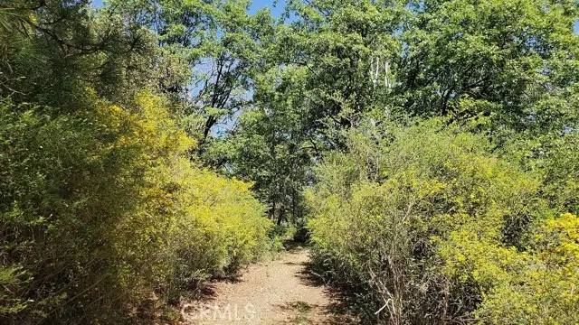 11890 Loch Lomond, Lake, CA 95461 - #1