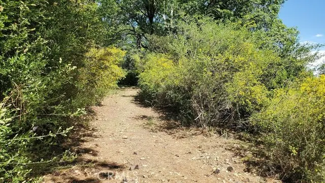 11890 Loch Lomond, Lake, CA 95461 - #2