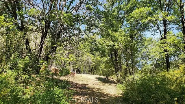 11890 Loch Lomond, Lake, CA 95461 - #3