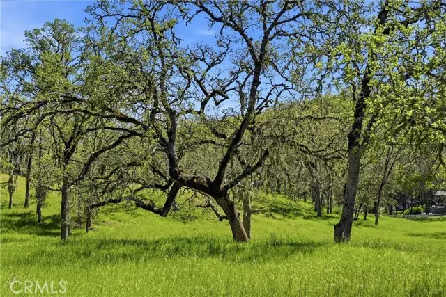 726 Park, Lakeport, CA 95453 - #3