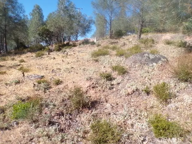 10070 El Capitan Way, Kelseyville, CA 95451 - #2