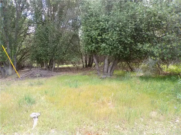 17472 Cache Creek, Clearlake Oaks, CA 95423