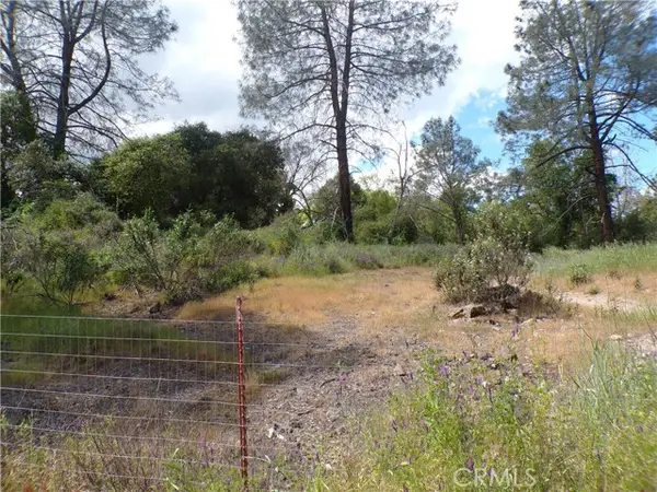 14304 Redbud, Clearlake, CA 95422