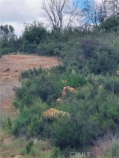 16351 6th, Clearlake, CA 95422 - #2