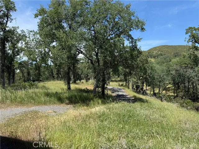 23495 Morgan Valley, Lower Lake, CA 95457 - #2