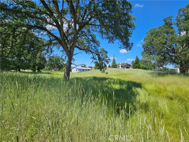16440 Rose, Lower Lake, CA 95457 - #2