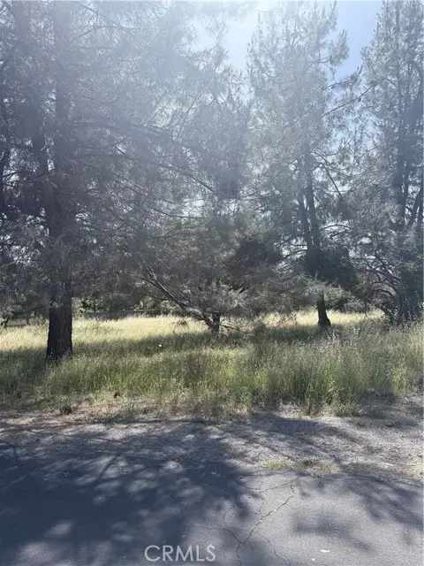 19303 Ravenhill, Hidden Valley Lake, CA 95467 - #2