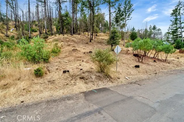 11541 Anderson Springs Road, Middletown, CA 95461 - #1