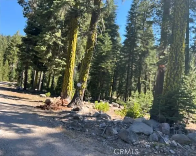 0 LOGGING Road, Shingletown, CA 96088 - #1