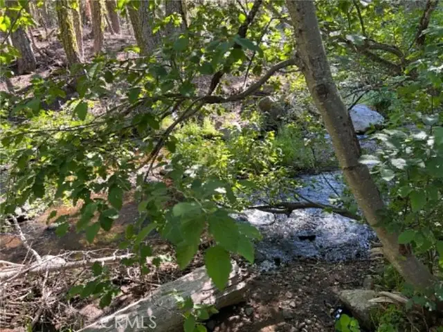 0 LOGGING Road, Shingletown, CA 96088 - #3
