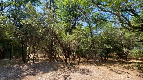 11545 Loch Lomond Road, Loch Lomond, CA 95461