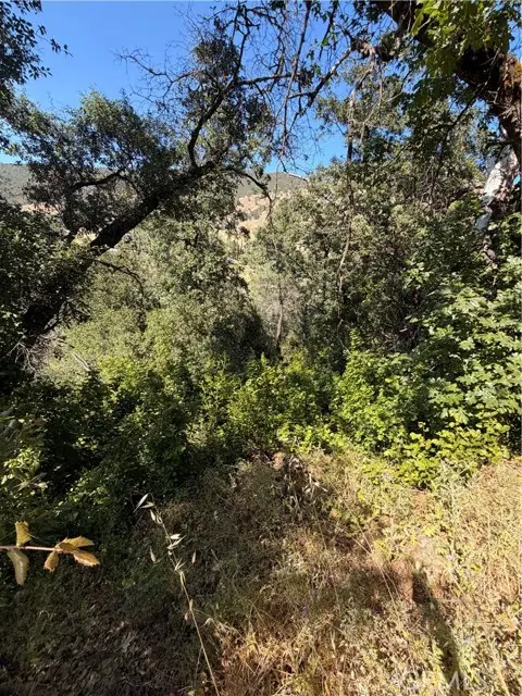 3403 Knob, Nice, CA 95464