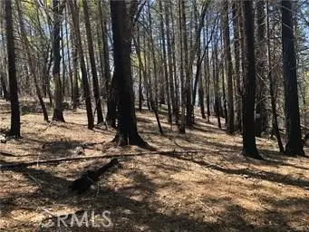 7097 High Valley, Lucerne, CA 95458