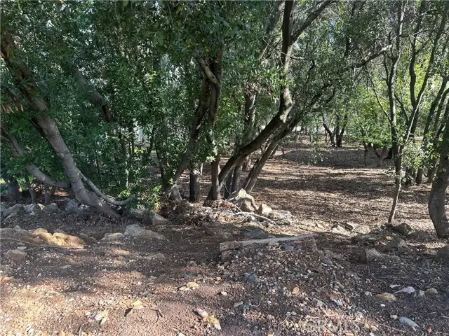 3470 Shoreline View Way, Kelseyville, CA 95451 - #1