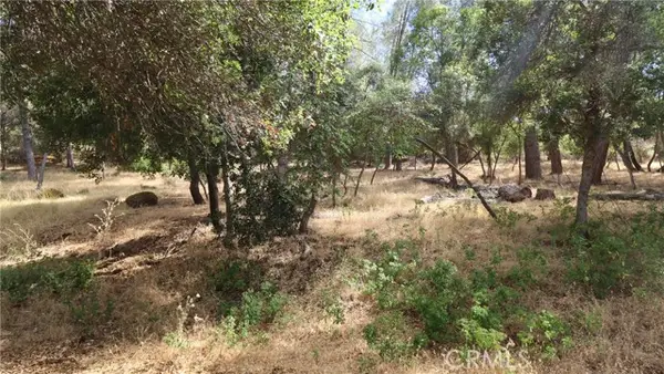 10465 Boren Bega Drive, Kelseyville, CA 95451
